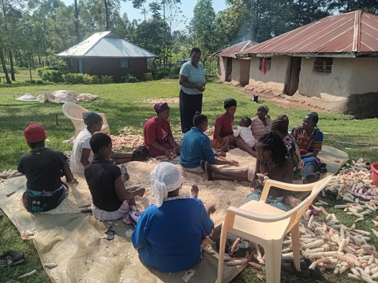 Supporting image beside Our Story text — community and field context showing farmers engaged in agroecological activities